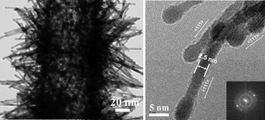 Graphical abstract: Ultrathin single crystal Pt nanowires grown on N-doped carbon nanotubes