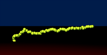 Graphical abstract: Relaxation of an initially-stretched, tethered polymer under shear flow: a Brownian dynamics simulation