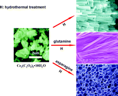 Graphical abstract: Porous lanthanide oxides via a precursor method: Morphology control through competitive interaction of lanthanide cations with oxalate anions and amino acids