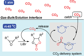 Graphical abstract: Amidine-mediated delivery of CO2 from gas phase to reaction system for highly efficient synthesis of cyclic carbonates from epoxides