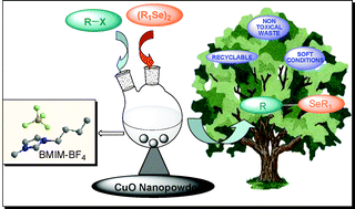 Graphical abstract: Eco-friendly cross-coupling of diaryl diselenides with aryl and alkyl bromides catalyzed by CuO nanopowder in ionic liquid