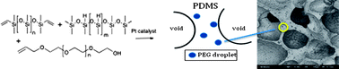 Graphical abstract: Silicone foams stabilized by surfactants generated in situ from allyl-functionalized PEG