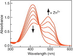 Graphical abstract: Metal specificities of Arabidopsis zinc and copper transport proteins match the relative, but not the absolute, affinities of their N-terminal domains