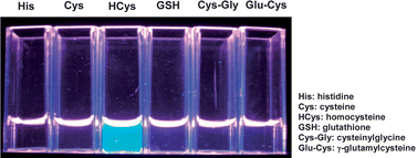 Graphical abstract: Fluorescent sensing of homocysteine in urine: Using fluorosurfactant-capped gold nanoparticles and o-Phthaldialdehyde