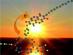 Graphical abstract: Solvent polarity effect on intramolecular electron transfer in a corrole–naphthalene bisimide dyad