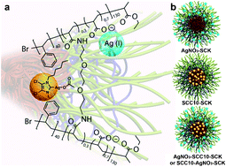 Graphical abstract: Shell crosslinked nanoparticles carrying silver antimicrobials as therapeutics