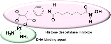 Graphical abstract: A novel anti-cancer bifunctional platinum drug candidate with dual DNA binding and histone deacetylase inhibitory activity