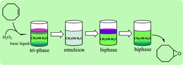 Graphical abstract: Polyoxometalate-based protic alkylimidazolium salts as reaction-induced phase-separation catalysts for olefin epoxidation