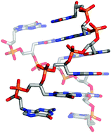 Graphical abstract: Atomic resolution duplex structure of the simplified nucleic acid GNA