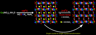 Graphical abstract: Co(ii) and Cr(iii) complexes of formate–formamide mixed ligands: synthesis, structures, single crystal-to-single crystal transformation and magnetic behaviour