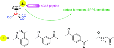 Graphical abstract: Influence of the metal complex-to-peptide linker on the synthesis and properties of bioactive CpMn(CO)3 peptide conjugates