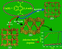 Graphical abstract: Versatile functionalities in MOFs assembled from the same building units: interplay of structural flexibility, rigidity and regularity