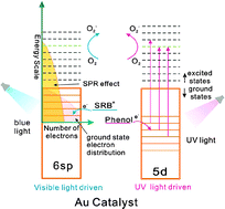 Graphical abstract: Mechanism of supported gold nanoparticles as photocatalysts under ultraviolet and visible light irradiation