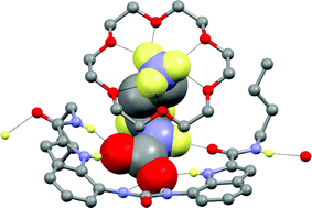 Graphical abstract: Carbamate complexation by urea-based receptors: studies in solution and the solid state