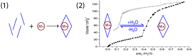 Graphical abstract: The influence of the guest ion on the synthesis and sorption properties of an open framework lanthanide tetrakisphosphonate