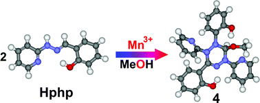 Graphical abstract: Manganese(iii)-mediated cyclodimerization of a hydrazinyl derivative generating an unprecedented 1,2,3,5,6-substituted leuco-verdazyl ring