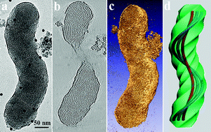 Graphical abstract: Solving hierarchical helical mesostructures by electron tomography