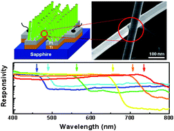 Graphical abstract: Synthesis of ZnxCd1−xSe (0 ≤ x ≤ 1) alloyed nanowires for variable-wavelength photodetectors