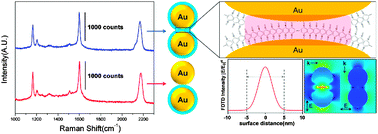 Graphical abstract: Electromagnetic field enhancement in the gap between two Au nanoparticles: the size of hot site probed by surface-enhanced Raman scattering