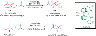 Graphical abstract: Chiral biphenylamide derivative: an efficient organocatalyst for the enantioselective synthesis of α-hydroxy phosphonates