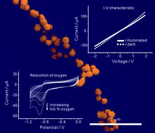 Graphical abstract: Walnut-like CdS micro-particles/single-walled carbon nanotube hybrids: one-step hydrothermal route to synthesis and their properties