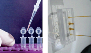 Graphical abstract: Microfluidics for the upstream pipeline of DNA sequencing – a worthy application?