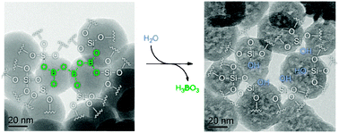 Graphical abstract: Surfactant-free synthesis of mesoporous and hollow silica nanoparticles with an inorganic template