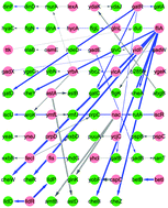 Graphical abstract: Inferring large-scale gene regulatory networks using a low-order constraint-based algorithm