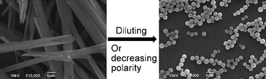 Graphical abstract: Controllable self-assemblies of micro/nano-tubes and vesicles from arylamides and their applications as templates to fabricate Pt micro/nano-tubes and hollow Pt nanospheres