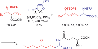 Graphical abstract: Diastereotopos-differentiating allylic alkylation as a key step in the synthesis of γ-glutamyl boletine