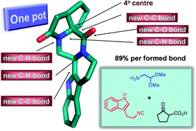 Graphical abstract: Polycyclic indole alkaloid-type compounds by MCR