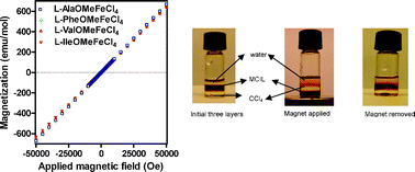 Graphical abstract: Magnetic chiral ionic liquids derived from amino acids