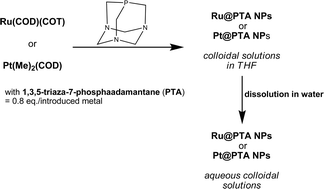 Graphical abstract: An organometallic approach for the synthesis of water-soluble ruthenium and platinum nanoparticles