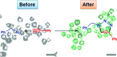 Graphical abstract: CuO hollow nanostructures catalyze [3 + 2] cycloaddition of azides with terminal alkynes