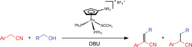 Graphical abstract: Dialkylamino cyclopentadienyl ruthenium(ii) complex-catalyzed α-alkylation of arylacetonitriles with primary alcohols