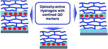 Graphical abstract: pH-responsive photoluminescent LbL hydrogels with confined quantum dots