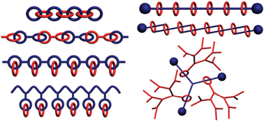 Graphical abstract: Mechanically bonded macromolecules