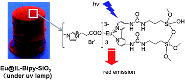 Graphical abstract: A transparent and luminescent ionogel based on organosilica and ionic liquid coordinating to Eu3+ ions