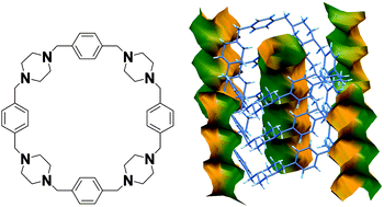 Graphical abstract: Channelled crystals formed by tubular stacking of a 4 + 4 phenylene-piperazine macrocycle