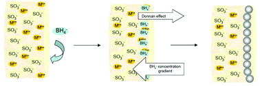 Graphical abstract: Donnan-exclusion-driven distribution of catalytic ferromagnetic nanoparticles synthesized in polymeric fibers