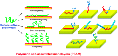 Graphical abstract: Polymeric self-assembled monolayers derived from surface-active copolymers: a modular approach to functionalized surfaces