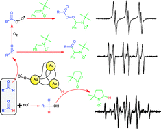 Graphical abstract: Enhanced acyl radical formation in the Au nanoparticle-catalysed aldehydeoxidation