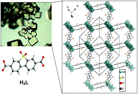 Graphical abstract: Remarkable structural diversity and single-crystal-to-single-crystal transformations in sulfone functionalized lanthanide MOFs