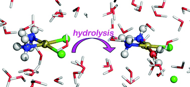 Graphical abstract: Hydrolysis of cisplatin—a first-principles metadynamics study