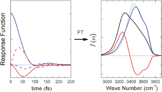 Graphical abstract: Signatures of coherent vibrational energy transfer in IR and Raman line shapes for liquid water