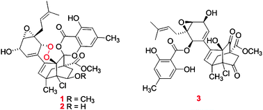 Graphical abstract: Unique metabolites of Pestalotiopsis fici suggest a biosynthetic hypothesis involving a Diels–Alder reaction and then mechanistic diversification