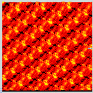 Graphical abstract: Self-assembled structures formed by a wedge-shaped molecule in 2D and 3D: the role of flexible side chains and polar head groups