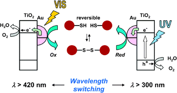 Graphical abstract: Light wavelength-switchable photocatalytic reaction by gold nanoparticle-loaded titanium(iv) dioxide