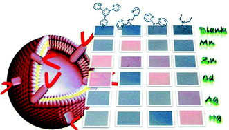 Graphical abstract: Polydiacetylene vesicles functionalized with N-heterocyclic ligands for metal cation binding