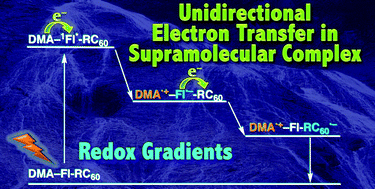 Graphical abstract: Implementation of redox gradients in hydrogen bonded complexes containing N,N-dimethylaniline, flavin and fullerene derivatives